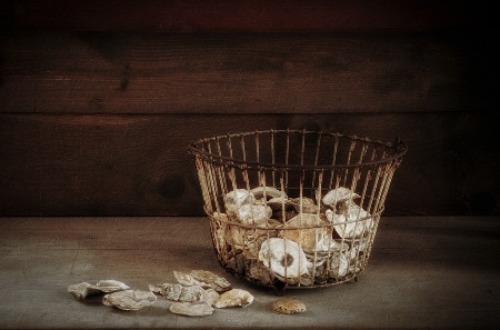 Still Life with Oyster Shells