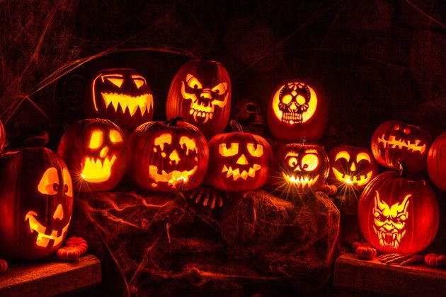 Harvested Pumpkins at Their Brightest 