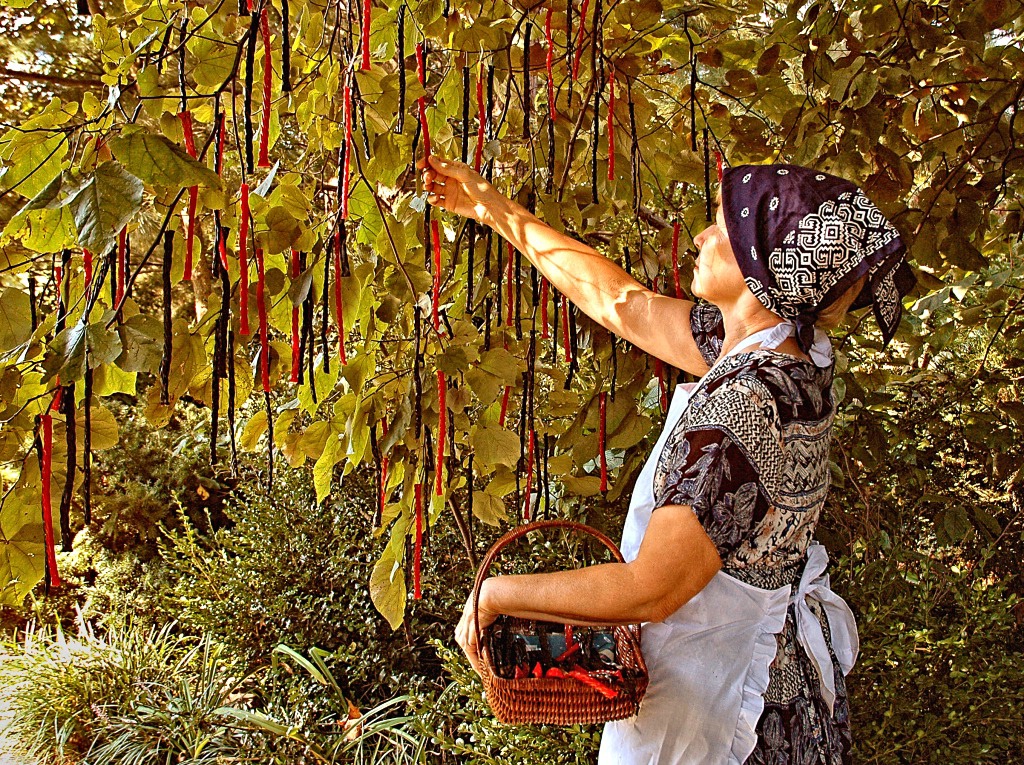 Twisted Licorice Harvest