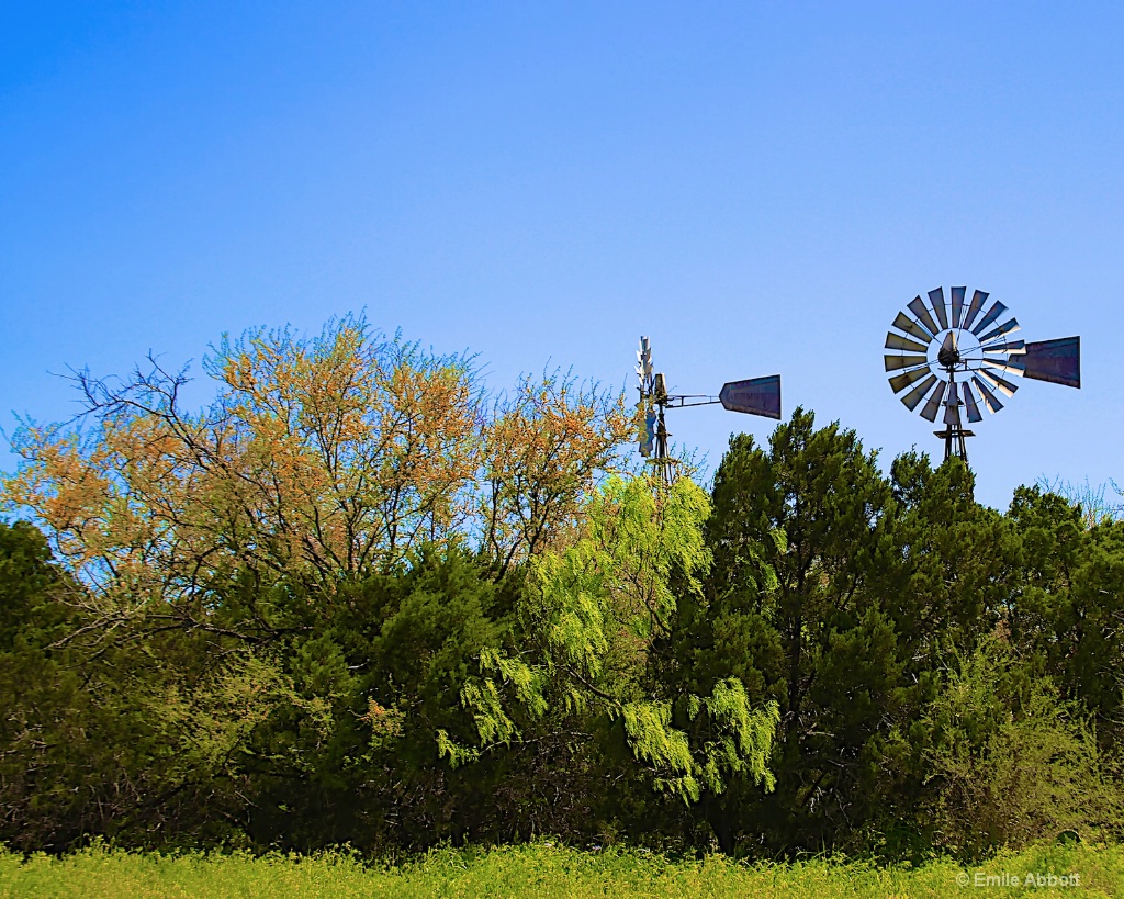 Dueling Windmills