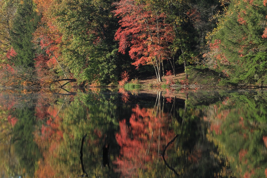 fall fishing spot horizontal 