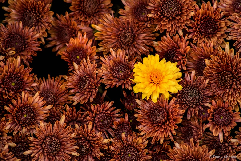 img7