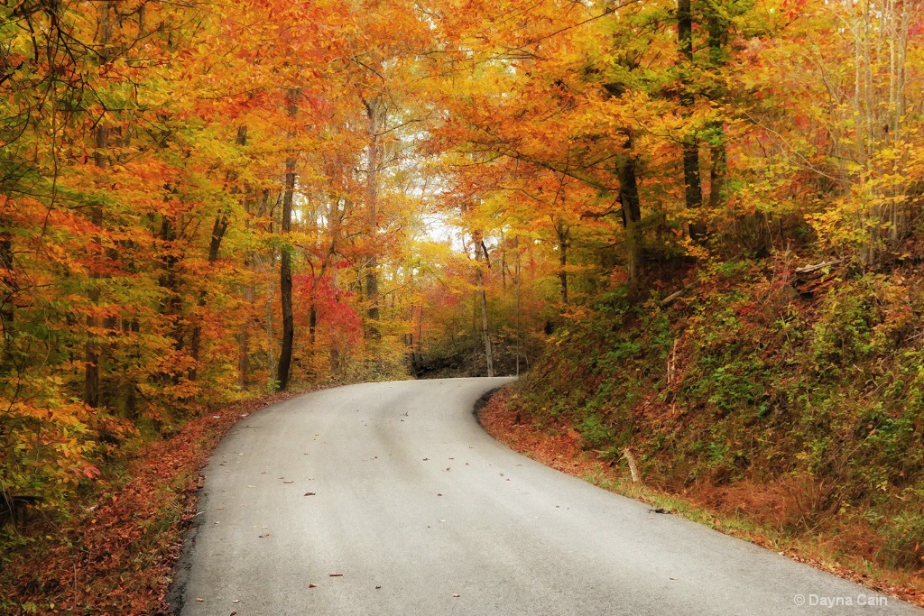 Maple Creek Road