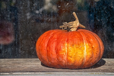 Pumpkin On The Sill