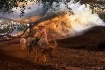 Beauty of Country...