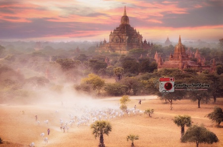 Journey to the Bagan