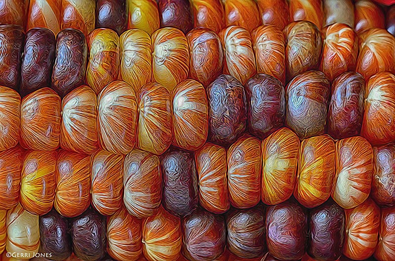 Painted Indian Corn