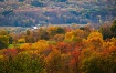 Fall in Central N...