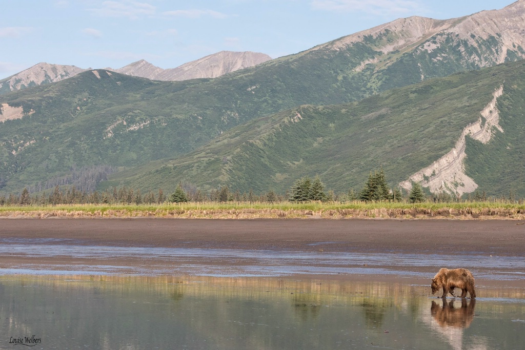 Lake Clark - ID: 15475496 © Louise Wolbers