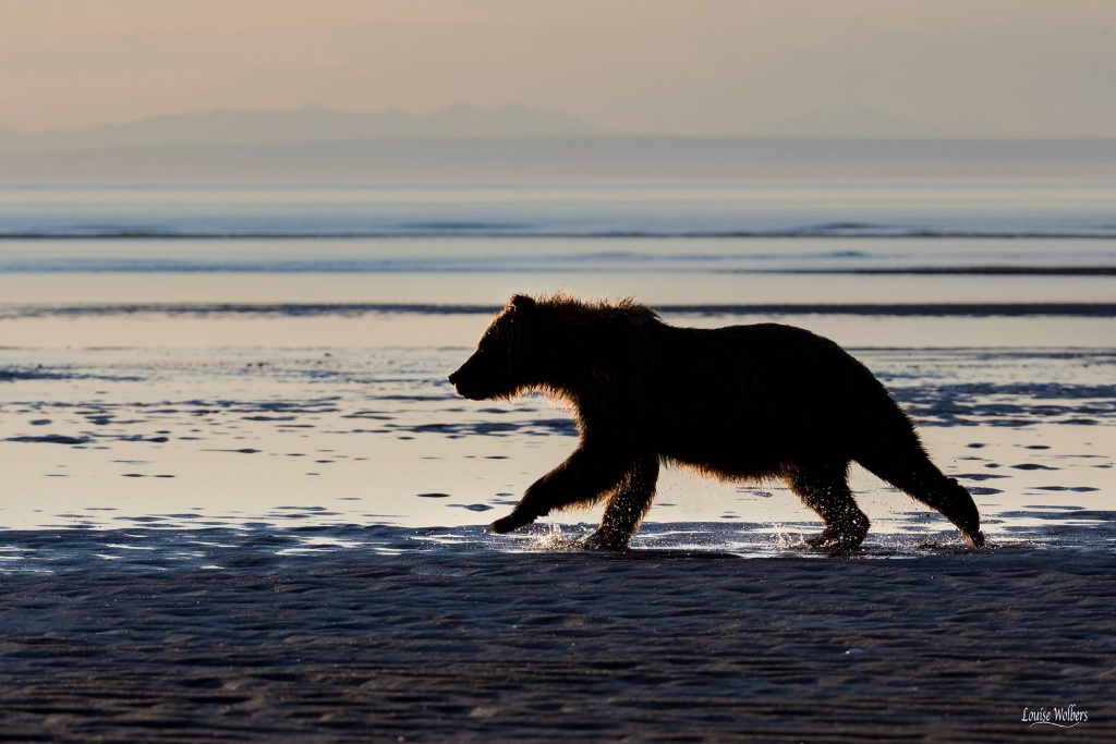 Seaside Run - ID: 15475497 © Louise Wolbers