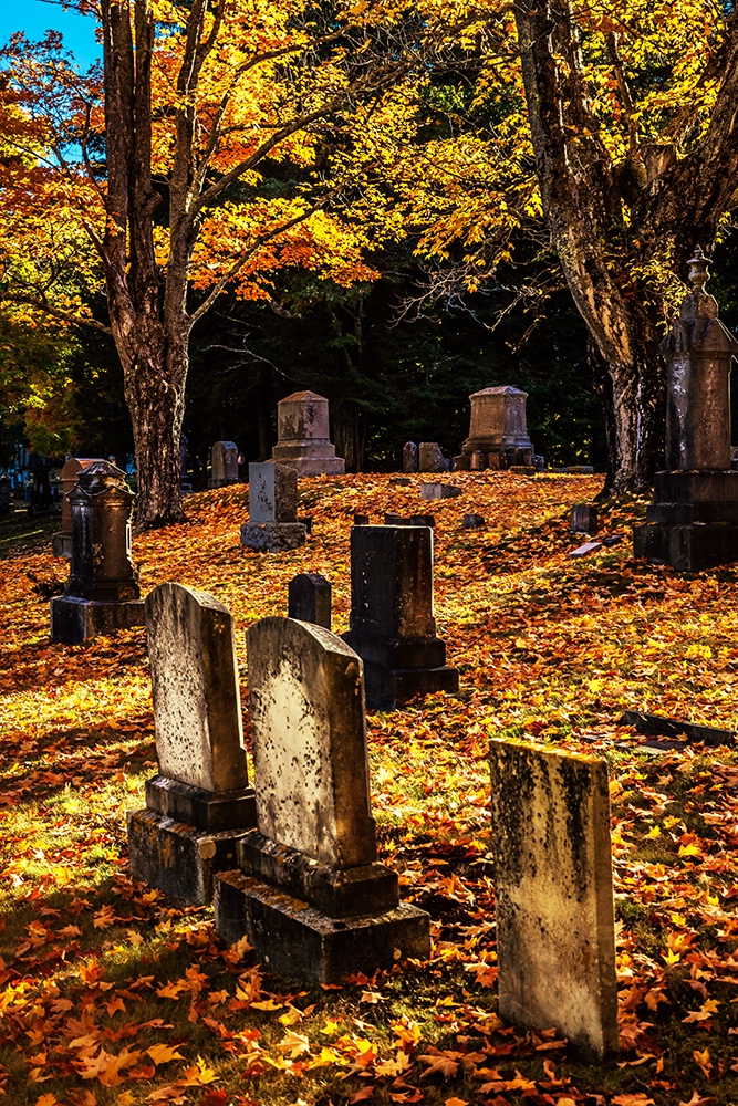 Autumn's Peace - ID: 15475516 © Jeff Robinson