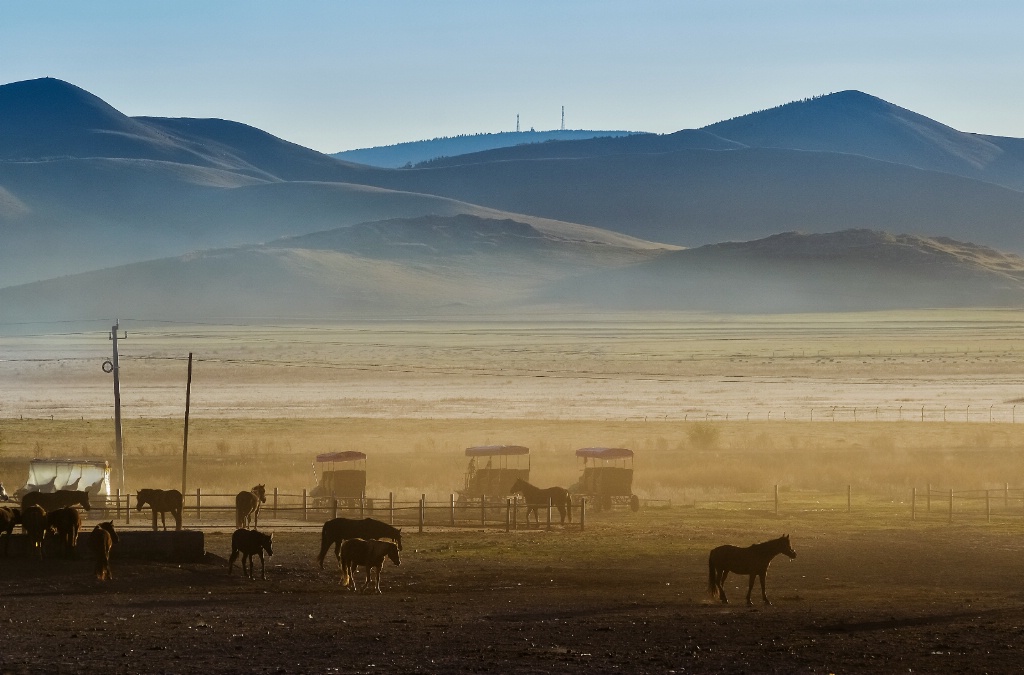 Morning at the grasslands