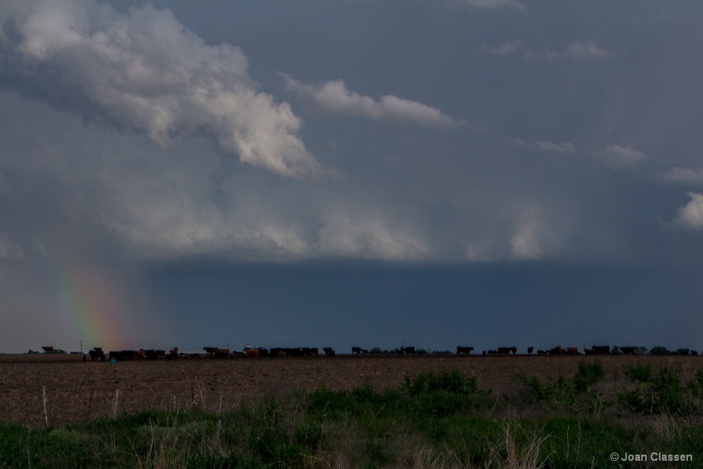 Stormy Evening