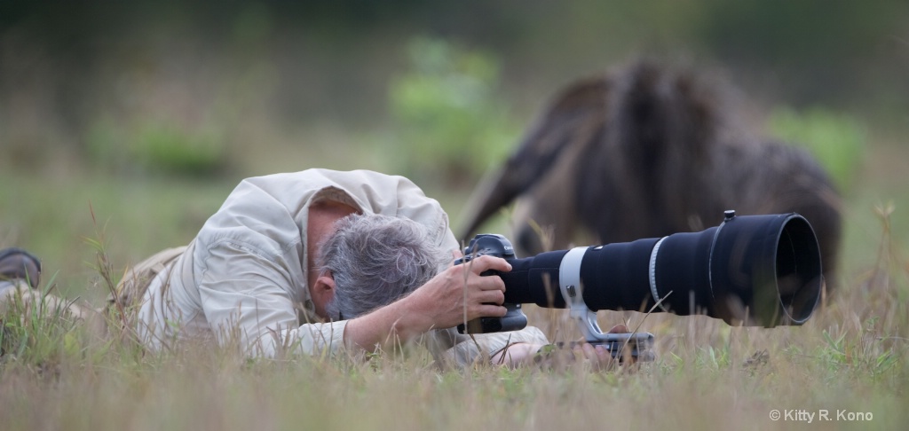 Todd Gustafson Praying he won't be eaten - ID: 15479226 © Kitty R. Kono