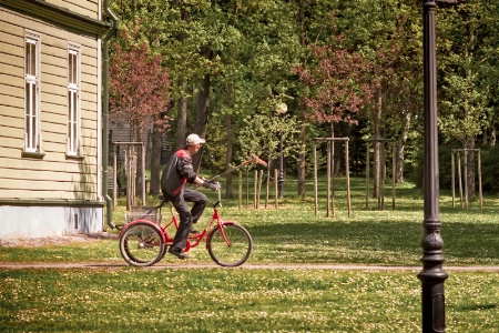 Park Worker Riding a Bike with a Rake