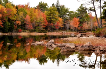 Acadia National Park