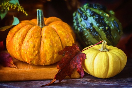 Halloween Harvest