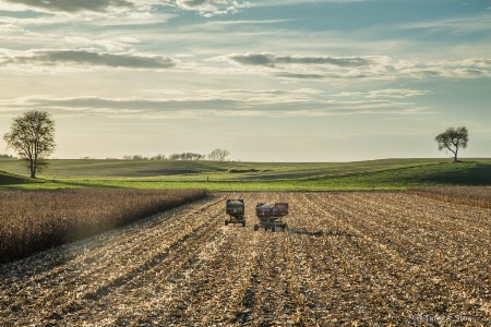 Harvest in Progress