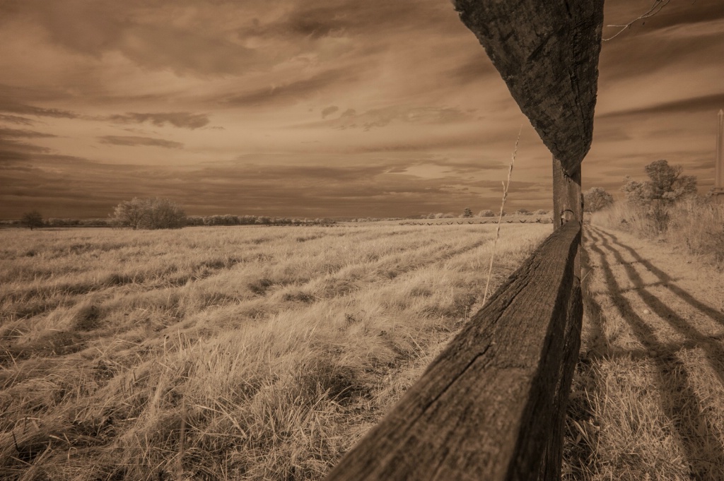 Looking down the fence 