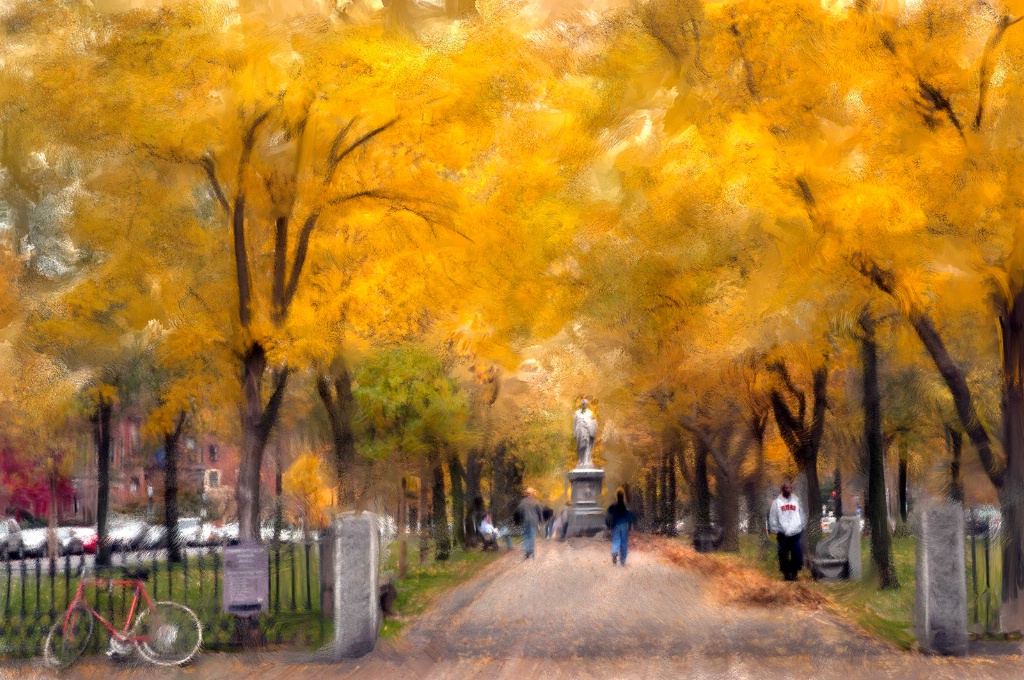 Autumn Colors on Commonwealth Mall