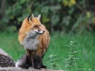 His Vantage Point