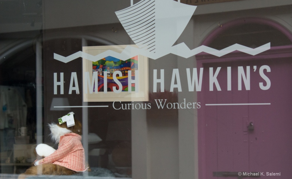 Hamish Hawkins Shop