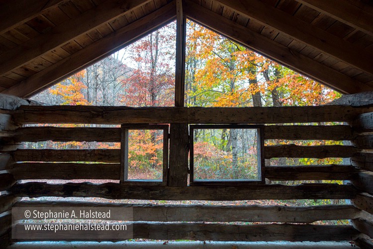 View From Mountain Cabin