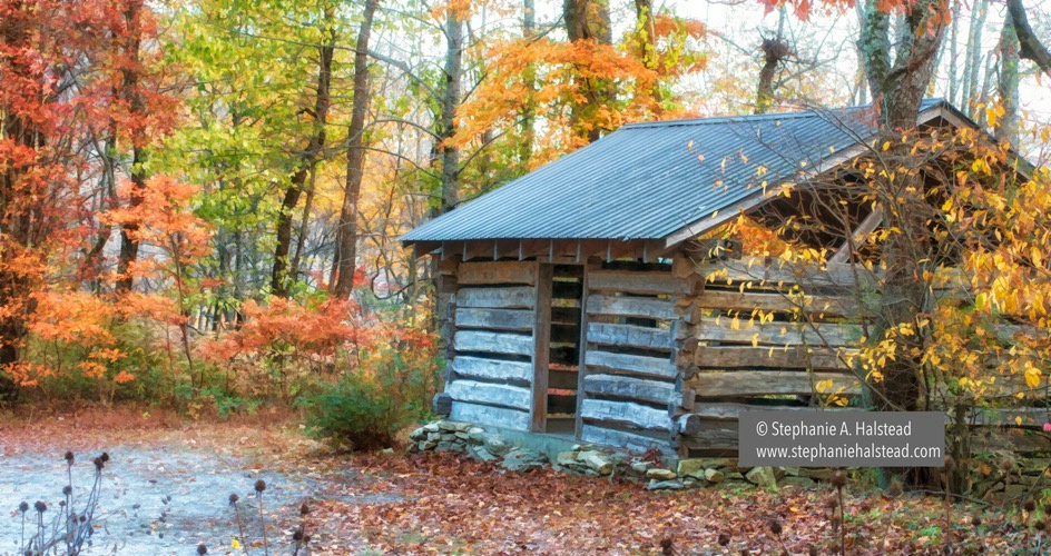 Rustic Cabin, NC