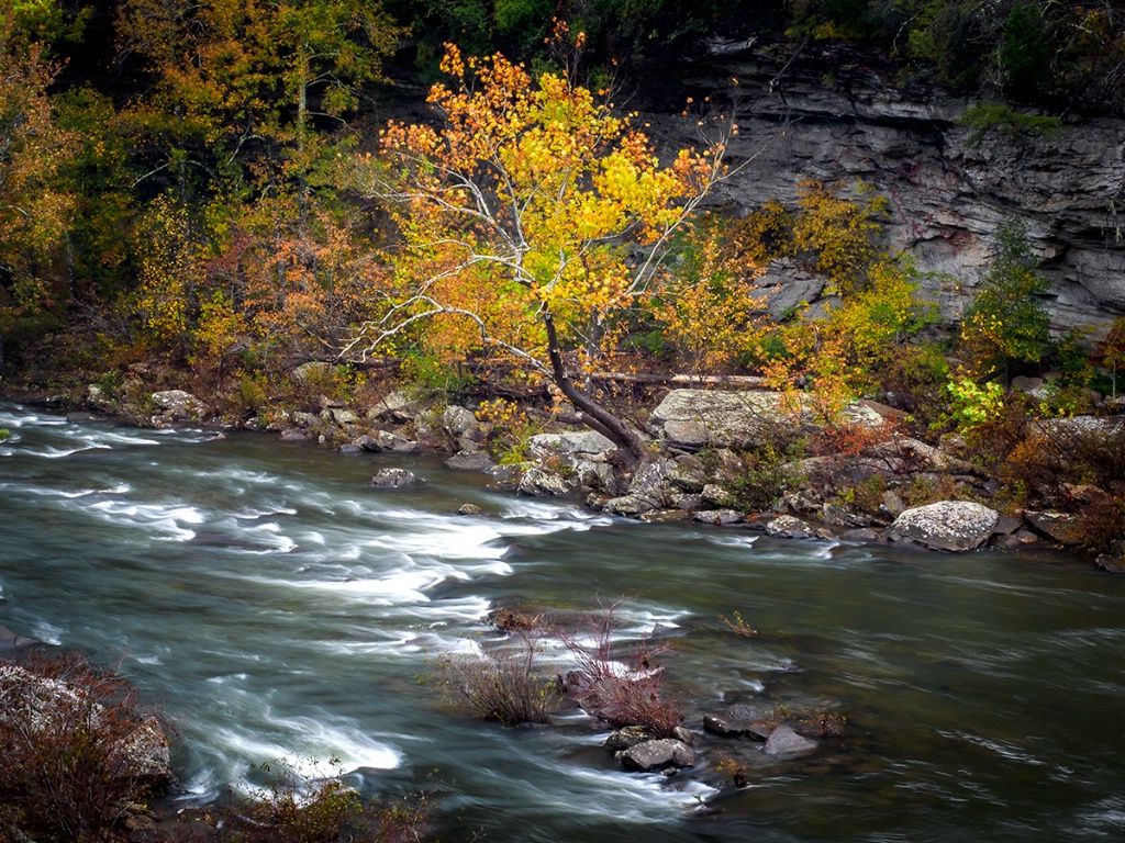 Autumn Stream