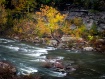 Autumn Stream