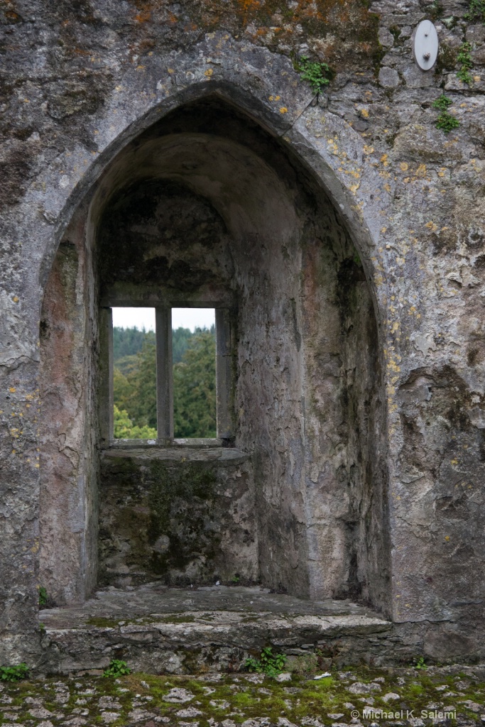 Blarney Castle - ID: 15484068 © Michael K. Salemi