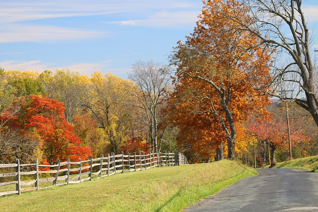 Colorful Country Road
