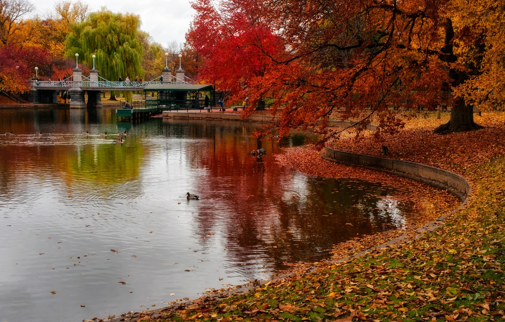 The Public Garden