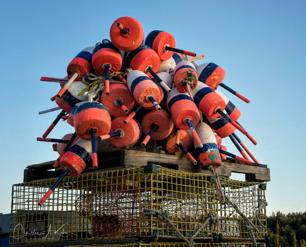 Lobster Buoys