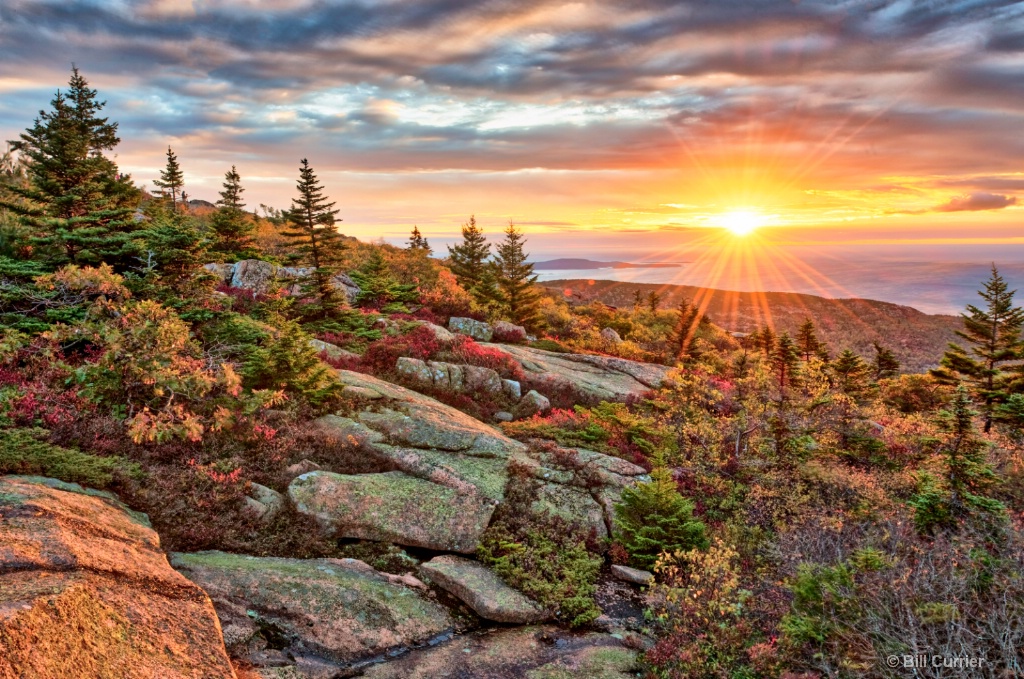 Cadillac Mountain Sunrise - Acadia National Park - ID: 15484644 © Bill Currier