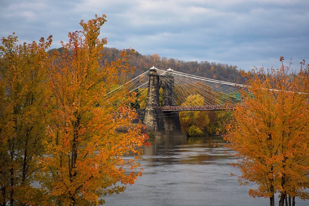 Waterfront Autumn