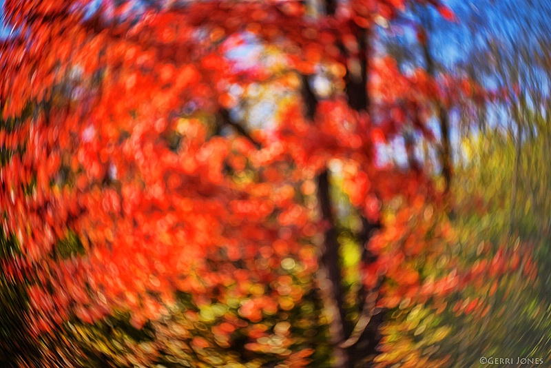 Impressionist Tree Abstract