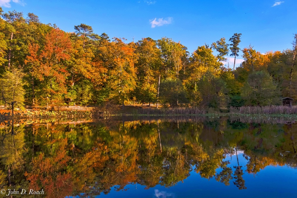 Reflections on Autumn