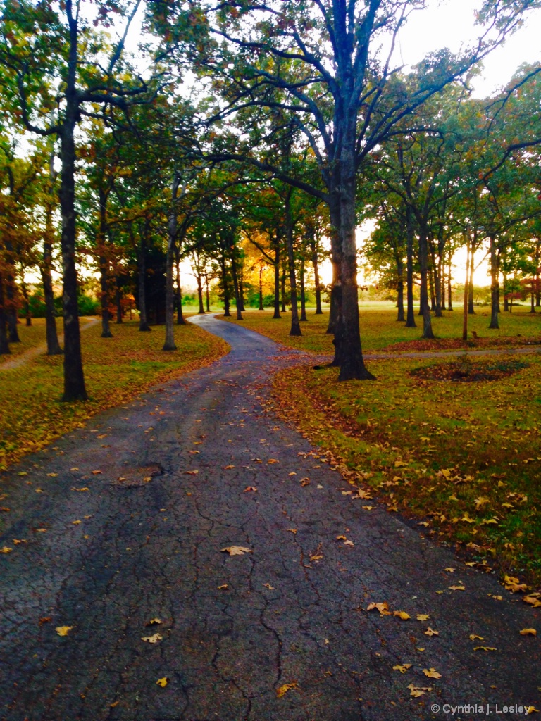 The Desloge park