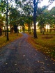 The Desloge park
