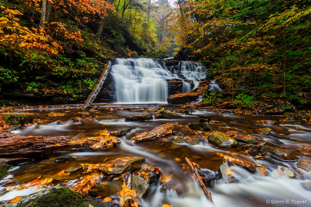 Ricketts Glen in the Rain