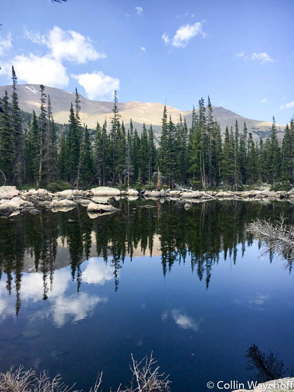 Trout's Paradise at High Altitude