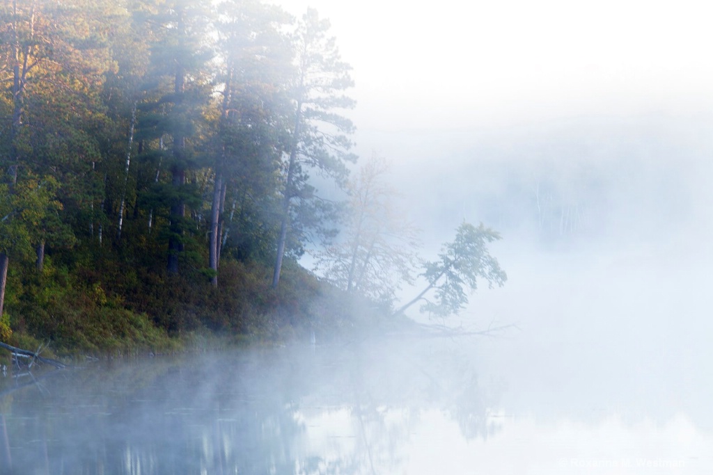 Foggy Fall morning in Itasca state park, MN