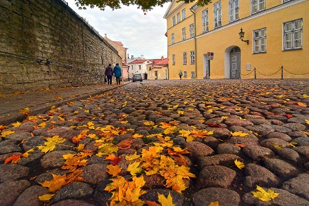 Streets of Tallinn