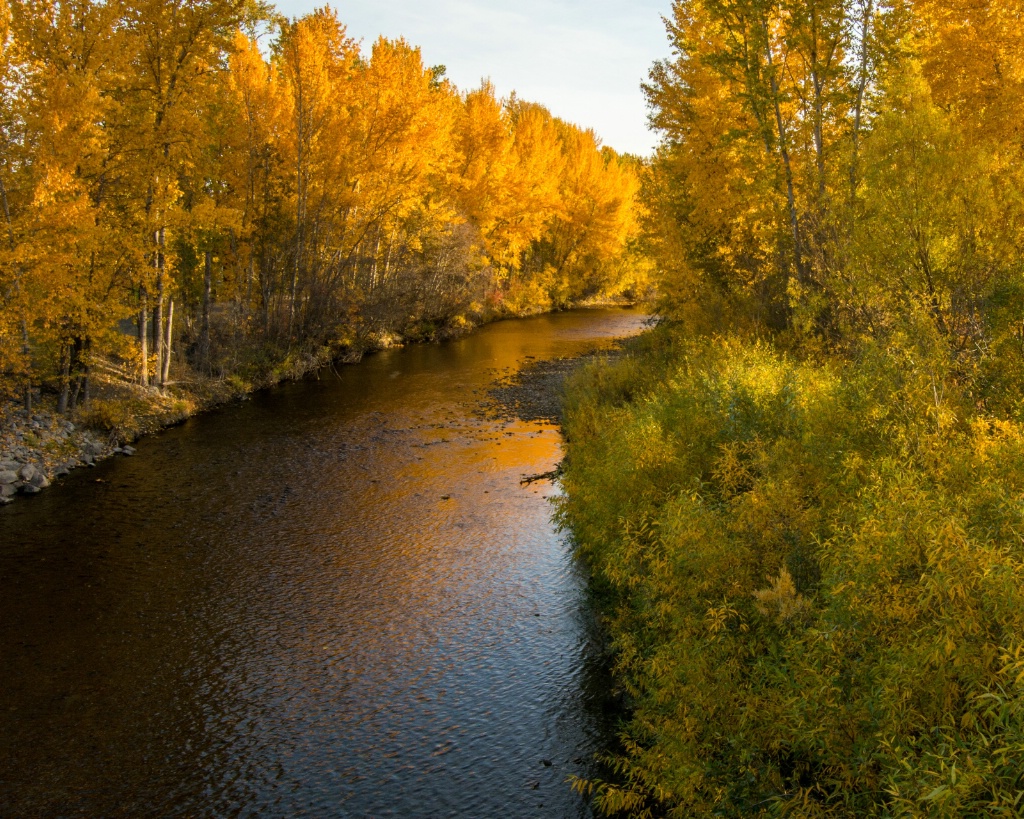 Mission Creek in Fall