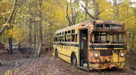 This Old Bus