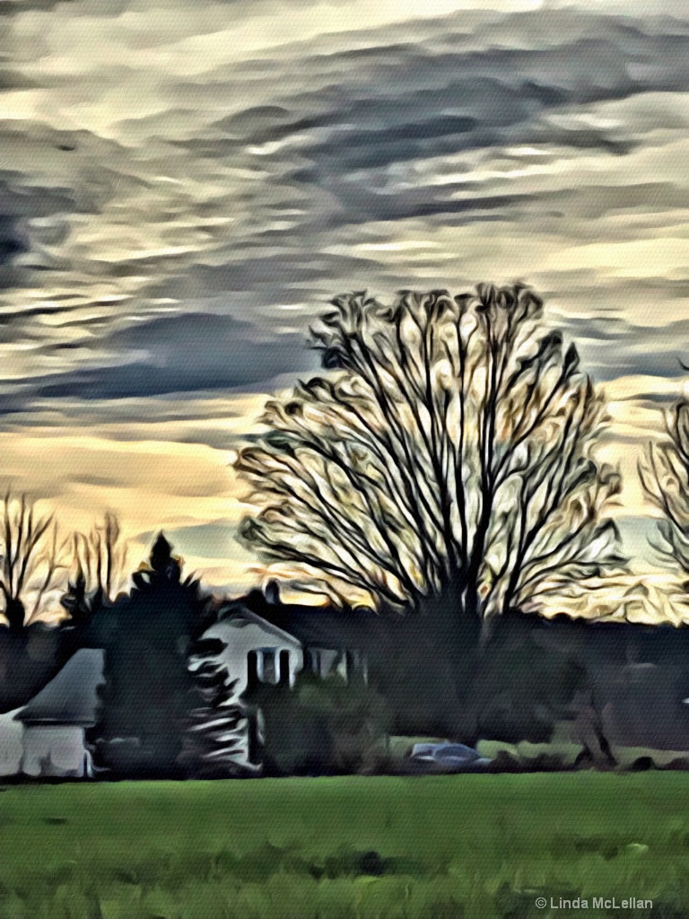 Rural Sky