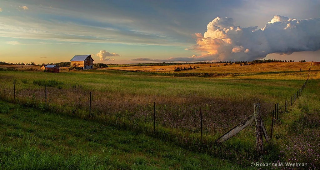 Evening storm in the Minnesota countryside - ID: 15487497 © Roxanne M. Westman