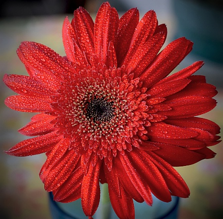 Pretty In Red