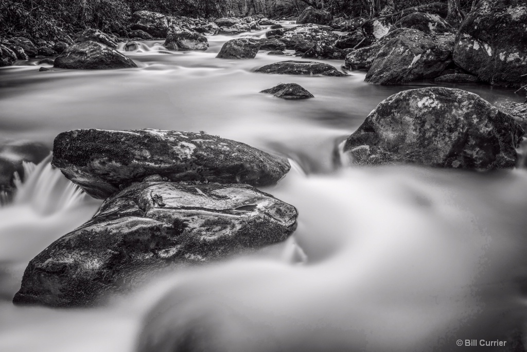 Middle Prong Little River - Tremont Smoky Mountain - ID: 15487698 © Bill Currier